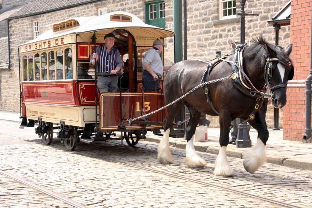 Our own horse-drawn tram.