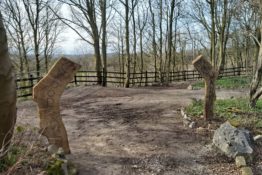 Woodland Walk Open for Bank Holiday 25th May Only