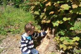 Children’s Activity – Making Fairy Dens