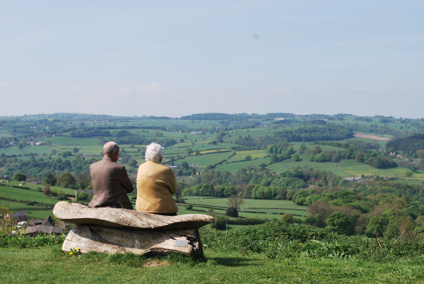 Derwent View 