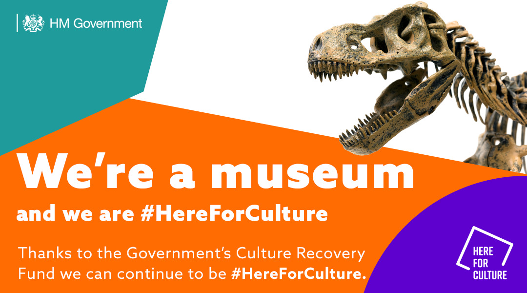 HereForCulture_Museum