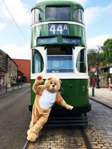 Mr Bear in front of Tram