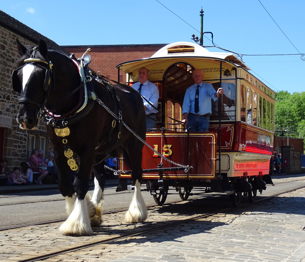 Horse Tram + driver in shirt (980px) Horse Tram + driver in shirt