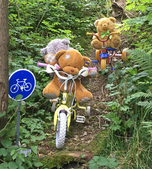 Bears on Bikes 