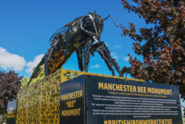 Derbyshire Preparing for Anti-violence Bee Tour