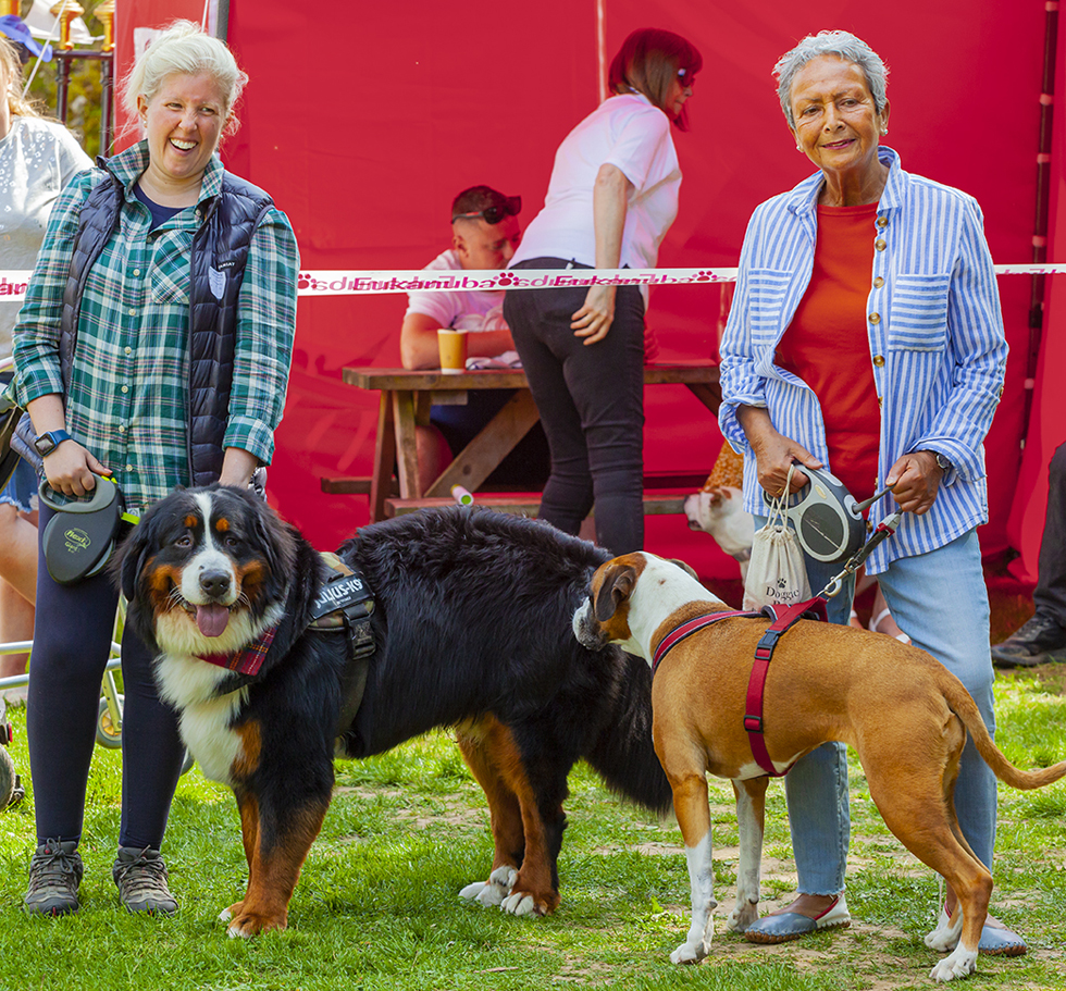 Crich Tramway Dog Show 2023