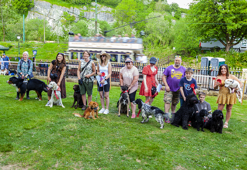 Crich Tramway Dog Show Finalists 2023