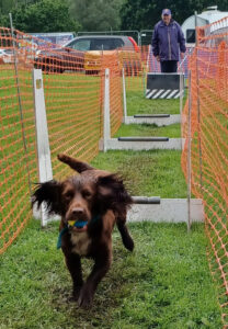 FlyBalling 1-