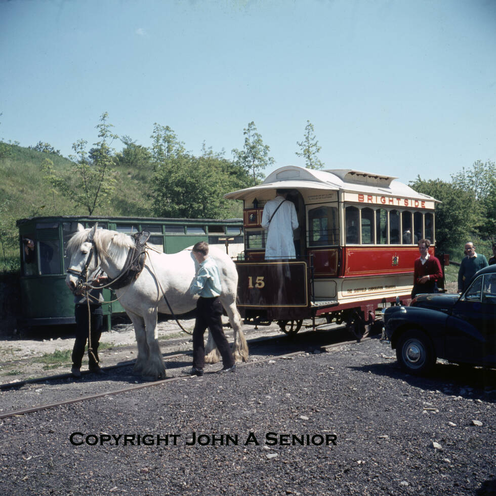 A white horse pulling a tram at Crich Tramway