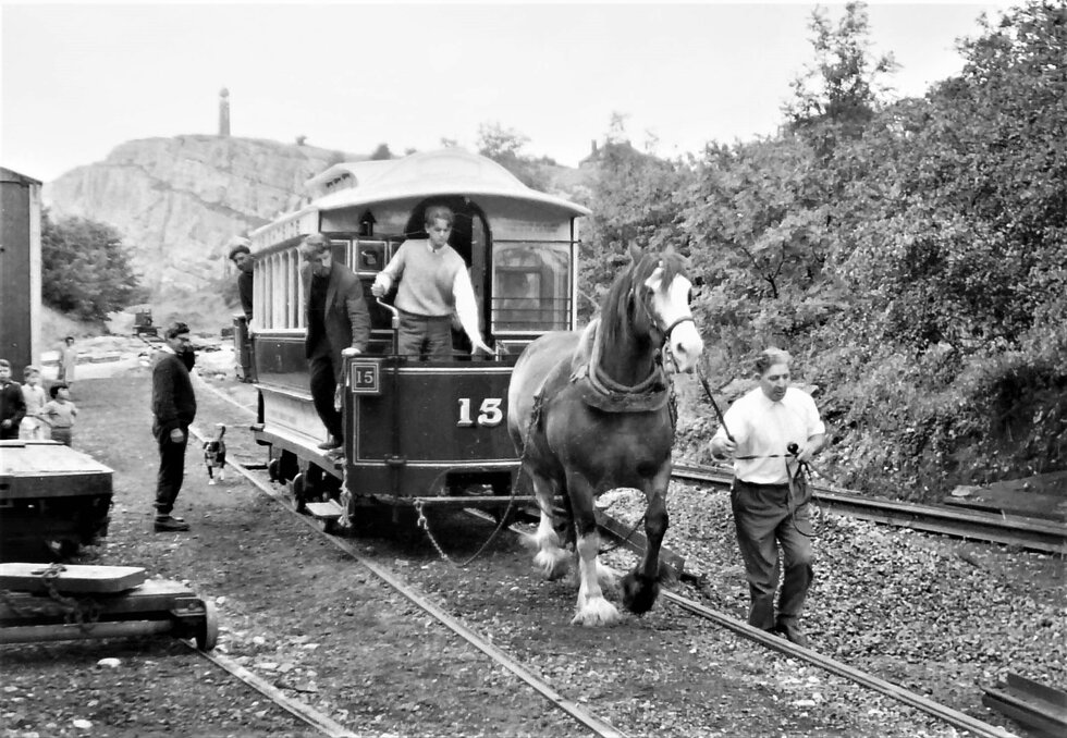 A horse pulling a tram at Crich Tramway Museum.