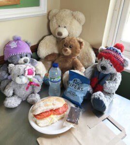 Adult's Picnic for Teddy Bears Picnic Event